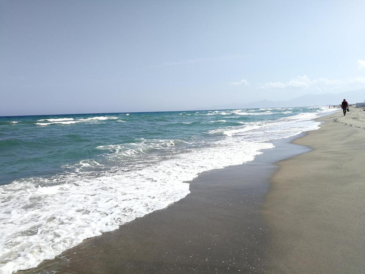 Agreable Studio 50M De La Plage Canet-en-Roussillon Buitenkant foto